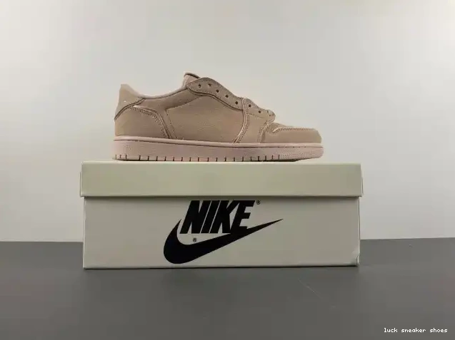 Rep LUCY Beige Particle Retro NS AO1935-204 Jordan 1 Low 0213