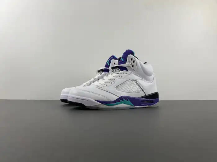 Cheap LUCY Air Jordan 5 Retro Grape (2013) 136027-108 0204