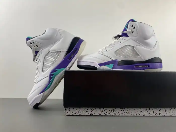 Cheap LUCY Air Jordan 5 Retro Grape (2013) 136027-108 0204