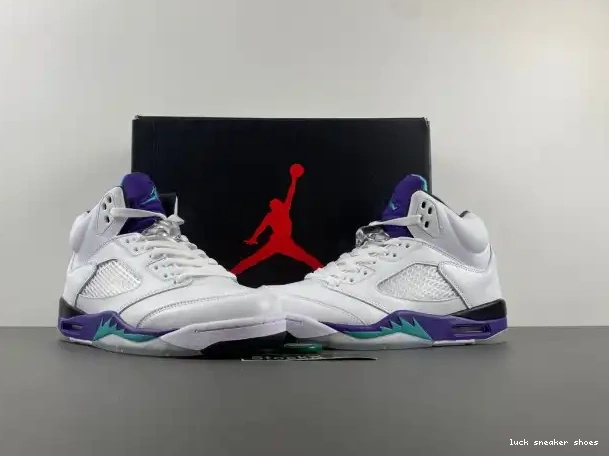 Rep LUCY Grape (2013) Jordan 5 Air 136027-108 Retro 0218