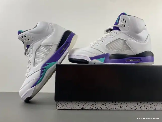 Rep LUCY Grape (2013) Jordan 5 Air 136027-108 Retro 0218