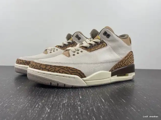 Reps LUCY Jordan 3 CT8532-102 Palomino Air 0219