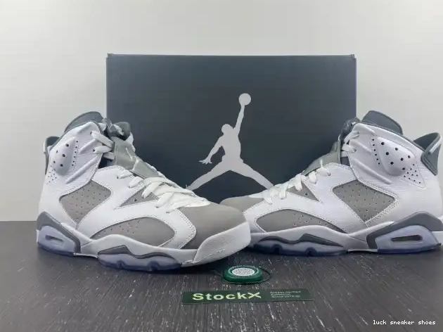 Rep LUCY CT8529-100 Cool Air Jordan Grey 6 0212