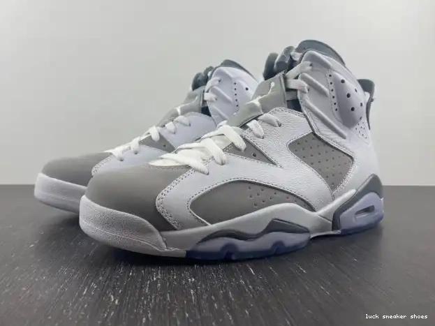 Rep LUCY CT8529-100 Cool Air Jordan Grey 6 0212