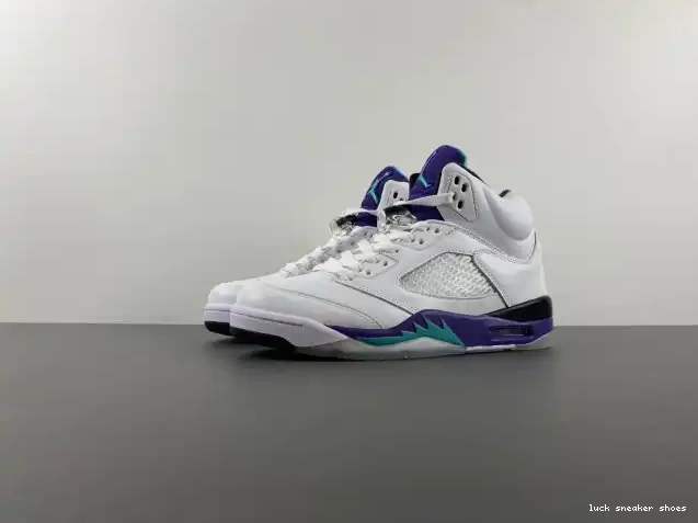 Rep LUCY Grape (2013) Jordan 5 Air 136027-108 Retro 0218