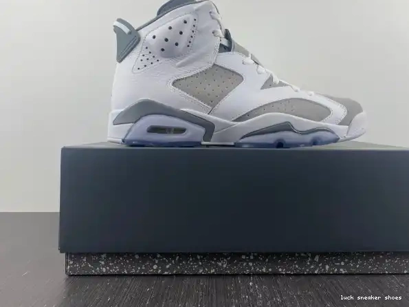 Rep LUCY CT8529-100 Cool Air Jordan Grey 6 0212