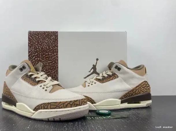 Reps LUCY Jordan 3 CT8532-102 Palomino Air 0219