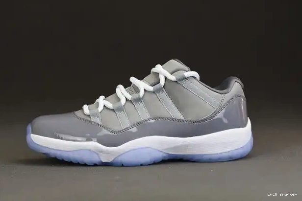 Reps LUCY Air Low 528895-003 Cool Jordan Grey 11 0223