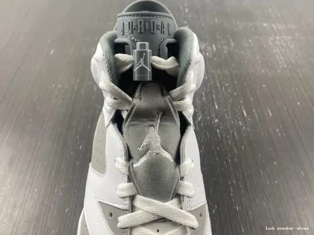 Rep LUCY CT8529-100 Cool Air Jordan Grey 6 0212