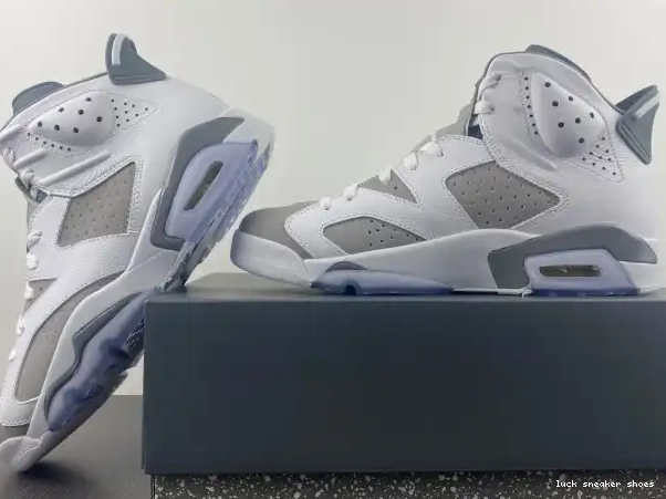 Rep LUCY CT8529-100 Cool Air Jordan Grey 6 0212