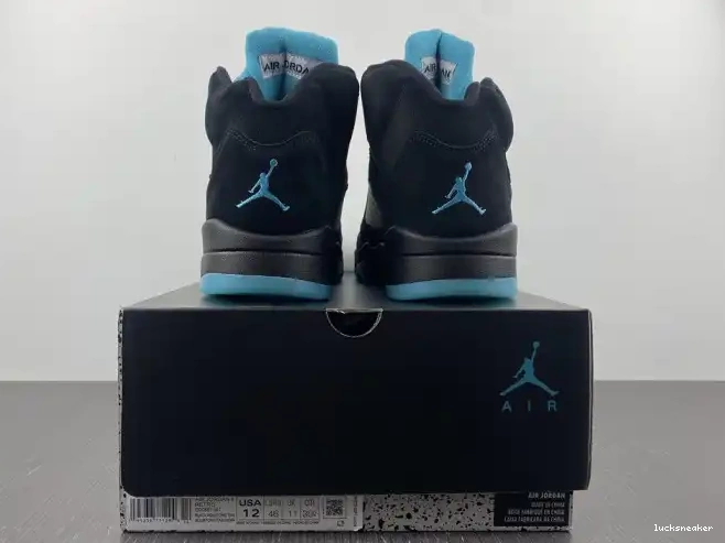 Rep LUCY 5 Air Jordan DD0587-047 Aqua 0228