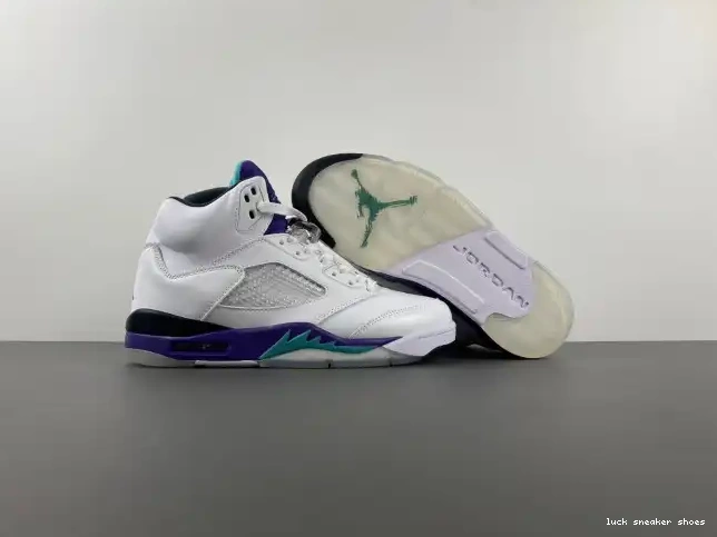 Rep LUCY Grape (2013) Jordan 5 Air 136027-108 Retro 0218