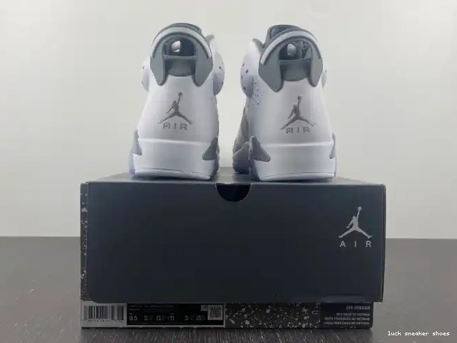 Rep LUCY CT8529-100 Cool Air Jordan Grey 6 0212