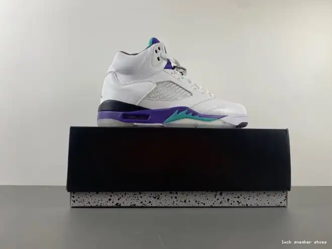 Rep LUCY Grape (2013) Jordan 5 Air 136027-108 Retro 0218