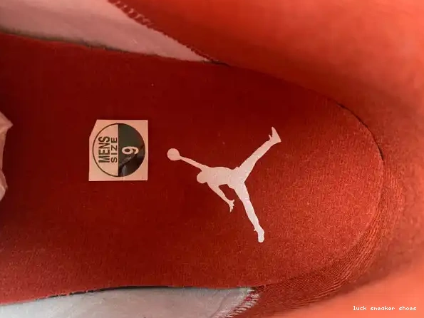 Reps LUCY Red Dune 13 DJ5982-601 Air Jordan 0318