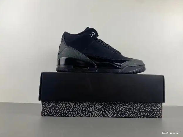 Rep LUCY Cat Black Air Jordan CT8532-001 3 0304