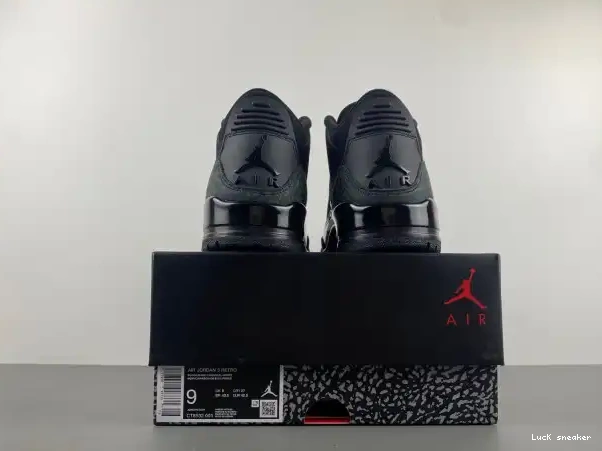 Rep LUCY Cat Black Air Jordan CT8532-001 3 0304